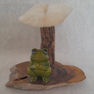 "Magic Mushroom" Frog under White Coral Mushroom